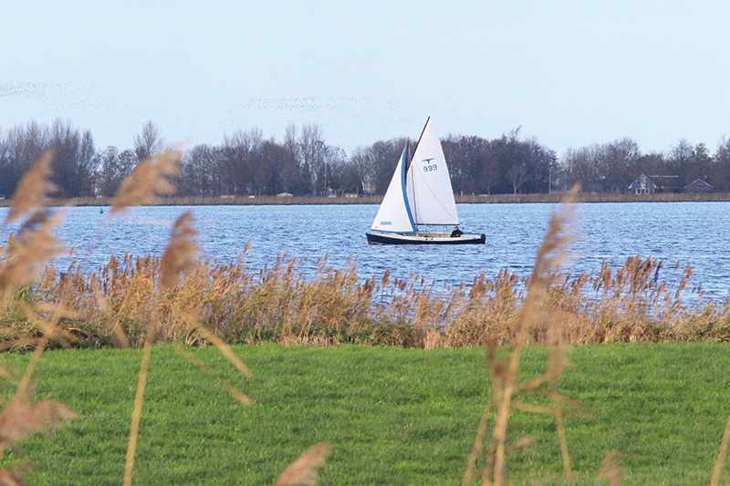 Winterzeilen op het Heegermeer. 