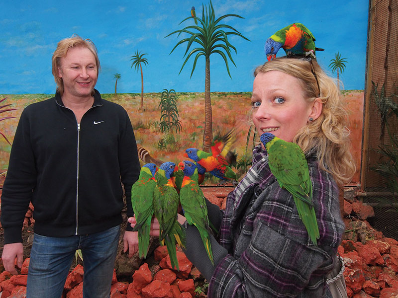 orchideeenhoeve vogels