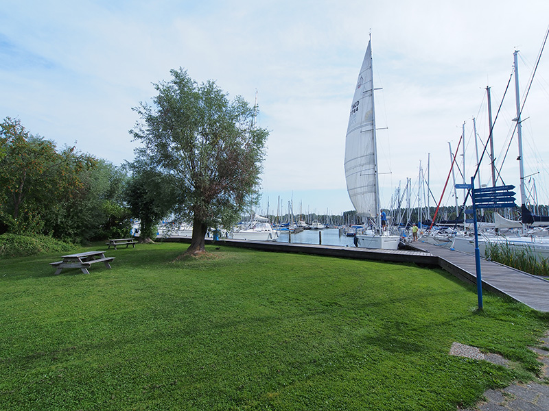 Jachthaven Waterland ligt op loopafstand van de binnenstad van Monnickendam. Zaterdags is er markt van 8.00 tot 14.00 uur. Elk half uur rijdt er een bus naar het centrum van Amsterdam.