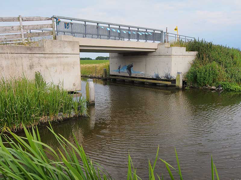 De Noordelijke Elfstedenvaarroute is landschappelijk gezien de tegenhanger van de Turfroute. De eerste voert door uitgestrekte kleigebieden met een interessante 5.000 jaar oude bewoningshistorie (terpen) en weinig bomen, de tweede door het bosrijke Zuidoost Friesland.