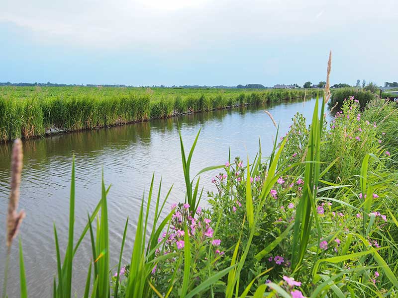 De Noordelijke Elfstedenvaarroute is landschappelijk gezien de tegenhanger van de Turfroute. De eerste voert door uitgestrekte kleigebieden met een interessante 5.000 jaar oude bewoningshistorie (terpen) en weinig bomen, de tweede door het bosrijke Zuidoost Friesland.