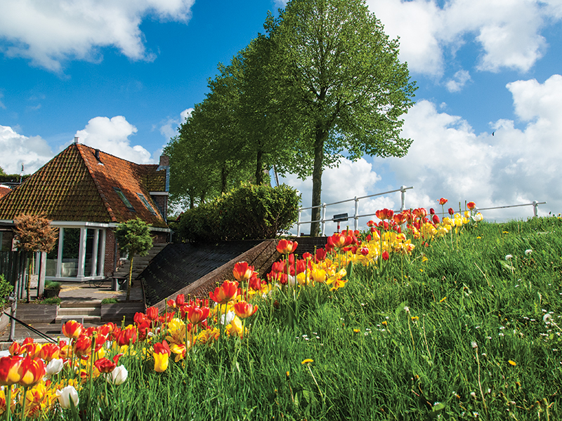 Tulpenstad Dokkum. Foto: Stichting Dokkum Tulpenstad