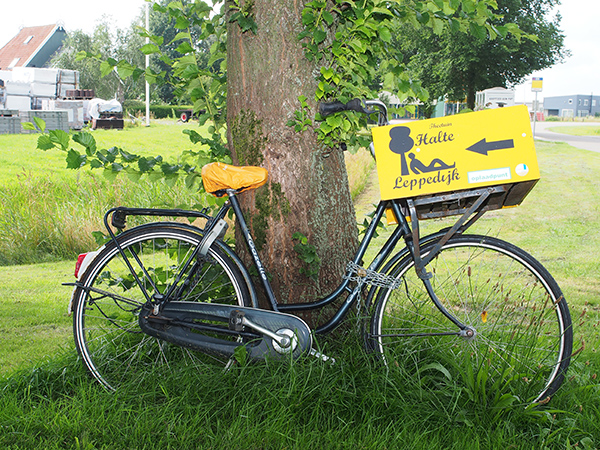 Een kijkje in de theetuin, groentetuin en keuken van Siepie de Jong en Franke Kooiker, Leppedijk 9, Nij Beets. Mevrouw De Jong maakt een hele reeks gezonde en zeer smakelijke streekproducten van eigen erf en tientallen soorten origineel gebak, zoals Appelkruimel met walnoten, Finse Trollenkoek, Citroencake, Pompoentaart, Frans Napoleontaart, Australische bananentaart en Zweedse Toscaka. Ook de muntthee komt van eigen tuin. Het stel runt in hun woning ook een bed and breakfast.
