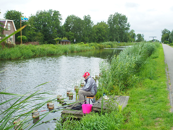 Het Polderhoofdkanaal is rijk aan vis.