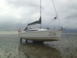 Delphia 34 "Zilt"