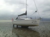 Delphia 34 "Zilt"